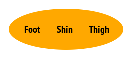 foot, shin, thigh in group schema